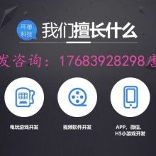 廣東軟件開發(fā) 創(chuàng)新驅(qū)動(dòng)下的軟件廠家生態(tài)與未來展望